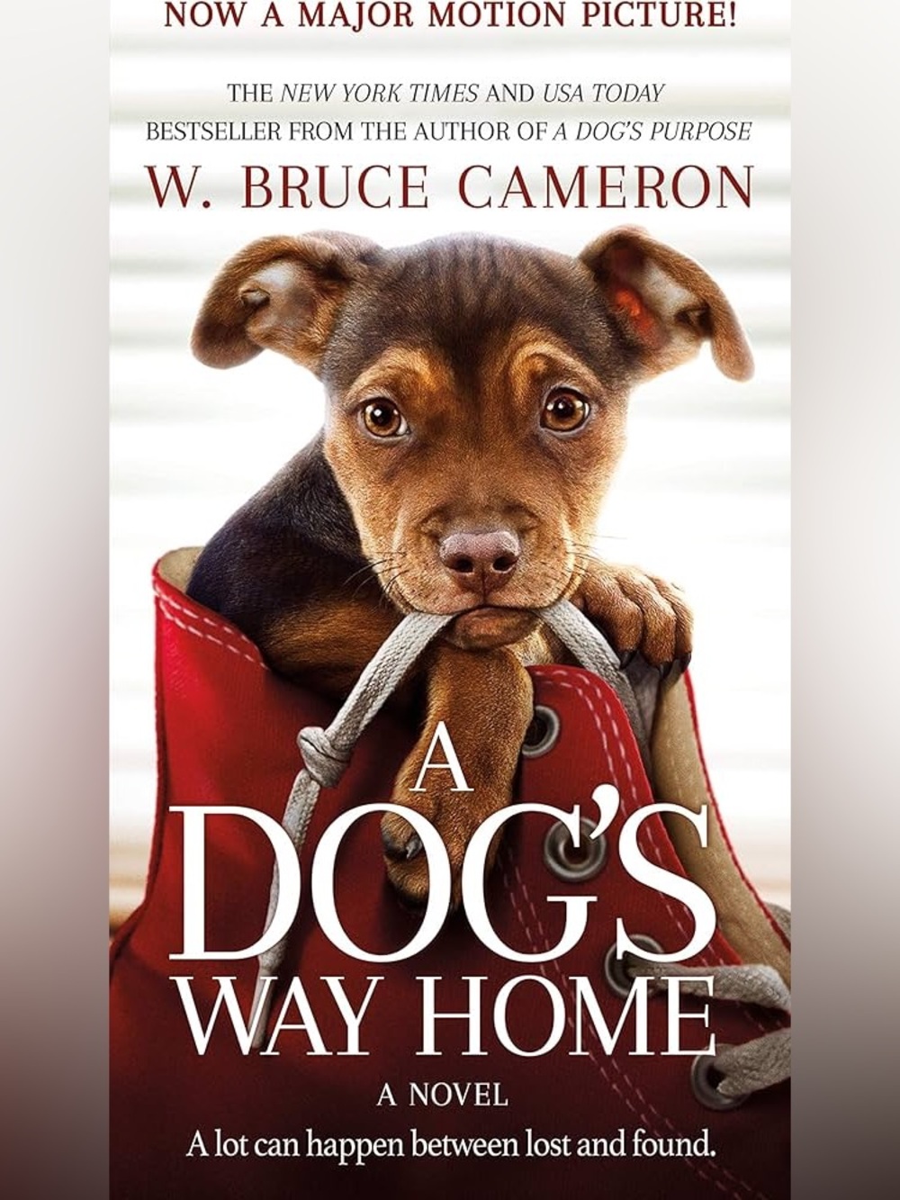 A Dog's Way Home Novel - Red/White Pet-Themed Book Cover